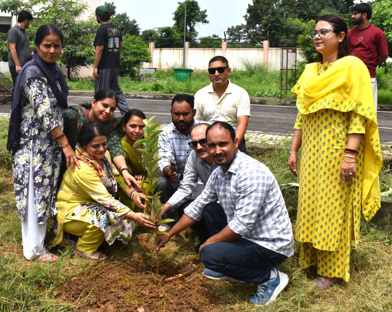Plantation Drive